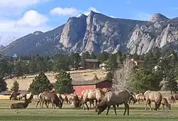 Estes Park Golf Course