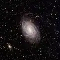 Euclid's view of the spiral galaxy NGC 6744