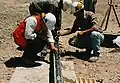 Geologists look at some samples of rock, to find minerals for mining.
