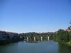 Pont Vieux, Montauban