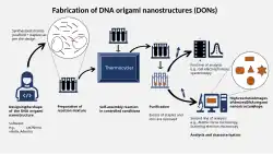 Flowchart summarising the process described in the text