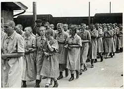 Female prisoners at Birkenau after being shaved and given uniforms