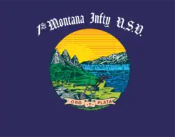 Flag carried by the First Montana Volunteers, 1898