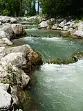Weir designed to make it easy for fish to climb
