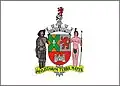 Flag of Município de São Bernardo do Campo