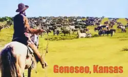 Geneseo