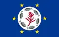Flag of Airai