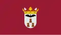 Flag of Albacete