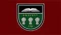 Flag of Amherst, Massachusetts