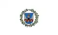 Flag of Anykščiai