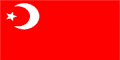 Flag in 1920