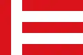 Flag of Eindhoven