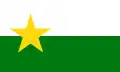 Flag of Forsyth County