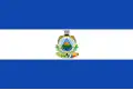 Flag of Soconusco (1838–1842)