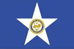 Flag of Houston