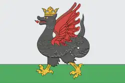 Flag of Kazan