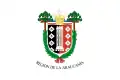Flag of the Region of La Araucanía