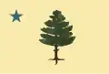 Flag of Maine (1901-1909)