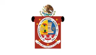 Flag of State of Oaxaca