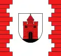 Flag of Panevėžys
