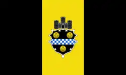 Flag of Pittsburgh