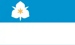 Flag of Salt Lake City