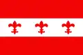 Flag of Santa Venera