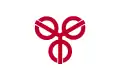 Flag of Sōka