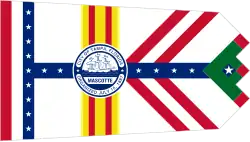 Flag of Tampa