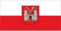 Flag of Tartu