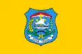 Flag of Tegal