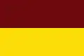 Flag of the Department of Tolima