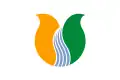 Flag of Tonami