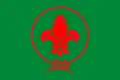 Vietnamese Scout Association (1930 - now)
