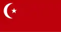 Flag in 1920-1921