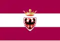 Flag of Province of Trento
