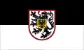 Flag of LandauLandau in der Pfalz