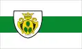 Flag of Uelsen