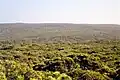 Bushland in the national park