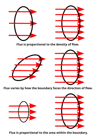 The flux visualized. The rings show the surface boundaries. The red arrows stand for the flow of charges, fluid particles, subatomic particles, photons, etc. The number of arrows that pass through each ring is the flux.