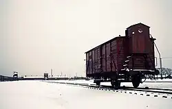 Prisoners were deported to concentration camps in cattle cars like these