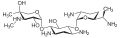 Gentamicin