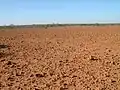 Gibber plain in Sturt National Park