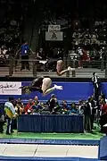 Trampoline