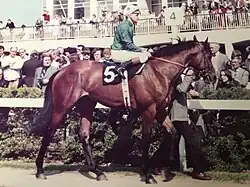 Image of Eddery on a bay horse