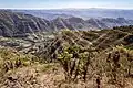 Great Rift Valley