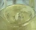 After completion of the addition, the mixture was heated for a while.