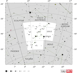 Grus