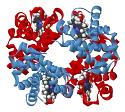 DNA Double Helix