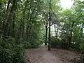 Walking trail